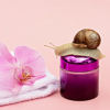 Snail mucus – the key to a healthy and beautiful complexion